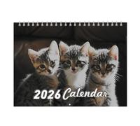 Wall Calendar, Monthly Illustrated Art Planner with Scenic Designs, 11.22x8.46 inch, Cute Gag Paper Calendar, Ideal for Kids, Teachers, Apartment, Bedroom, House, Classroom, School