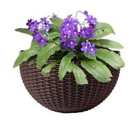 Wall Flower Planter - Indoor Plants Decorative Vertical Plant Container