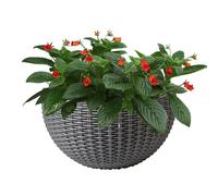 Wall Flower Pot - 26x20.5cm Imitation Rattan Semicircular Structure, Breathable Decorative Planter, Space Saving Hanging Display | Balcony Patio Fence Garden Farmhouse Apartment Greenery Styling