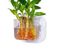 Wall Mounted Fish Bowl- No Drilling Plant Container, Clear Tank | Mini Wall Vase, Hanging Hydroponic Pot Decorative Fish Tank For Living Room, Bedroom, Kitchen, Apartment, Dormitory