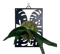 Wall Mounted Plant Holder - Aesthetic Moderns Flowerpot Display Frame | Plant Wall-Mounted Holder Frame Display For Porch Window Sill Patio Entrance Living Room Indoor Outdoors