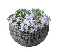 Wall-Mounted Plant Pot - Imitation Rattan Wall Pots For Plants - Houseplants Elegant Container Semicircular Decor For Orchid Impatiens Begonias Pothos Petunias