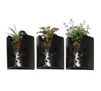 Wall Mounted Planter - Wall Mounted Home Decor, 3-Piece Orchid Planter Pot, Hanging Flower Pot, Indoor Plant Holder Balcony Garden Vessel | For Flower Platycerium Outdoor Yard Patio Porch Bedroom