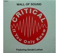 Wall of Sound - Critical [Vinyl Single]