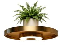 Wall Plant Display Rack LED Light Indoor Living Room Bedroom Decor Home Art