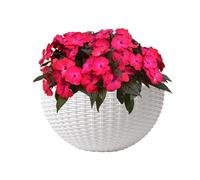Wall Plant Pot, Imitation Rattan Wall Pots For Plants, Houseplants Elegant Container Semicircular Decor For Orchid Impatiens Begonias Pothos Petunias