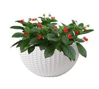Wall Pot - Wall Planting Pot | Balcony Flower Bucket, for Plants Indoor,Imitation Rattan Plants Houseplants Elegant Container Semicircular Decor for Orchid Impatiens Begonias Pothos Petunias
