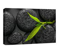 wall26 Canvas Print Wall Art Sprouting Green Plant Over Dark Black Stones Floral Nature Photography Realism Bohemian Scenic Relax/Calm Cool