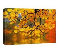 wall26 Canvas Print Wall Art Yellow Leaves in The Forest with Bokeh Camera Effect Floral Nature Photography Realism Bohemian Scenic Relax/Ca