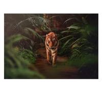 WallArena Fotomural Tigre 368x254 cm