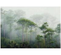 WallArena - Papel pintado en textil no tejido Bosque Paisaje 350x250 cm - Fotomurales - Papeles Pintados - para Salón Dormitorio - Vinilo adhesivo Mural con Efecto 3D - Incluye cola - Niebla Verde