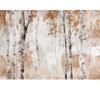 WallArena Papel pintado fotográfico de vinilo, 368 x 254 cm, diseño de bosque de abedules
