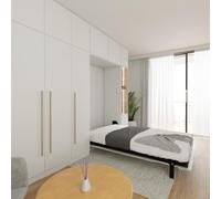 Wallbedking Estructura de Cama abatible Vertical Morphy Que Ahorra Espacio - Cama Murphy Modular Plegable para proyectos DIY y Muebles empotrados Personalizados (120x190 cm, Vertical)
