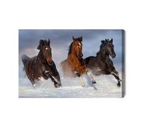 WALLERO Cuadro en lienzo galopando caballos invierno - Decoración de pared moderna e impresión artística | Cuadro para salón dormitorio cocina recibidor | Gran formato en lienzo 70x50