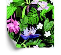 WALLERO Decoración de Pared, Palmeras de hojas exóticas, 50 x 1000 cm