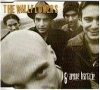 Wallflowers - 6th Avenue Heartache (US Import)