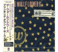 Wallflowers, the - Bringing Down Horse