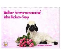 Walliser Schwarznasenschaf Valais Blacknose Sheep (Wandkalender 2027 DIN A3 quer