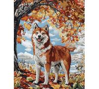 Wallphantom Animal perro Akita Inu kit pintura por numeros adultos,secoya,Kit de pintura al óleo para principiantes y adultos,Navidad,cumpleaños,kit de regalo,40x50cm con marco