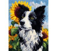 Wallphantom Animal Perro DIY Kit Gancho De Pestillo,Border Collie y girasoles,Kit De Alfombra Con Gancho De Pestillo,juego de 3D Latch Hook Manualidades Alfombra,Artesanía Bordado Tapiz,80x160cm