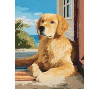 Wallphantom Animal Perro DIY Kit Gancho De Pestillo,Lindo golden retriever,Kit De Alfombra Con Gancho De Pestillo,juego de 3D Latch Hook Manualidades Alfombra,Artesanía Bordado Tapiz,52x38cm