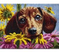 Wallphantom Animal Perro DIY Latch Hook Rug Kit,Lindo caniche,Pattern Printed Canvas DIY Embroidery Home Decor,Handmade Needlework Crafts for Adults Beginners,90x120cm