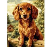 Wallphantom Animal perro Pintar por Numeros Adultos,perro tejonero,Cuadros para Pintar por Numeros,DIY Pintura por Números,Kit de Pintura al óleo de Lienzo,40x50cm con marco