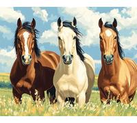 Wallphantom animales de pastizales Pintar por Numeros Adultos,Tres hermosos caballos,Cuadros para Pintar por Numeros,DIY Pintura por Números,Kit de Pintura al óleo de Lienzo,40x50cm con marco