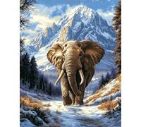 Wallphantom Bosque nevado Pintar por Numeros Adultos,Cosas de animales,Kit de Pintura al óleo de Lienzo DIY con Pinceles y Pinturas,Manualidades Adultos Decor Hogar,40x50cm con marco
