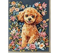 Wallphantom Caniche Pintura por Números para Adultos,DIY Pintura por Números,animal perro,Kit de Pintar Por Numeros para Decoración del Hogar,Regalos,40x50cm con marco