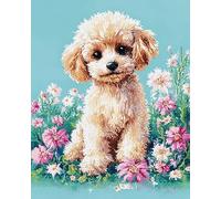 Wallphantom Caniche Pinturas por Numeros Cuadro Pintar con Numeros,animal perro,DIY Oleos para Pintar Kit Manualidades Adultos con Pinceles y Pinturas,40x50cm con marco