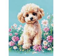 Wallphantom Caniche Pinturas por Numeros Cuadro Pintar con Numeros,animal perro,DIY Oleos para Pintar Kit Manualidades Adultos con Pinceles y Pinturas,40x50cm con marco