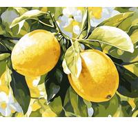 Wallphantom DIY Cuadros para Pintar por Numeros,Fruta limón,Pintar por Numeros Adultos,Pintar con Numeros Principiantes Lienzos,Kit Manualidades,40x50cm con marco