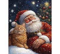 Wallphantom DIY Cuadros para Pintar por Numeros,Papá Noel y el gato,Pintar por Numeros Adultos,Pintar con Numeros Principiantes Lienzos,Kit Manualidades,40x50cm con marco