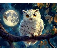 Wallphantom DIY Kit Alfombra Gancho De Pestillo,El búho y la luna,Kit De Ganchillo Para Principiantes,Fabricación De Alfombras,Needlework Crafts Rug for Home Decor,52x38cm