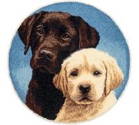 Wallphantom Diy Kit Gancho De Pestillo,Dos labradores retrievers,Latch Hook Rug Kits,Kit De Ganchillo Para Principiantes,Fabricación De Alfombras,50x50cm