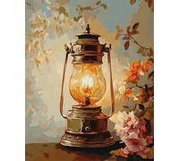 Wallphantom Lámparas de flores kit pintura por numeros adultos,Lámpara de aceite retro,Kit de pintura al óleo para principiantes y adultos,Navidad,cumpleaños,kit de regalo,40x50cm con marco