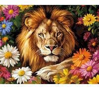 Wallphantom margaritas de colores Pintar por Numeros Adultos,animal león,Cuadros para Pintar por Numeros,DIY Pintura por Números,Kit de Pintura al óleo de Lienzo,40x50cm con marco