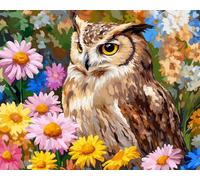 Wallphantom margaritas de colores Pintar por Numeros,Búho animal,DIY cuadros para pintar por numeros Kit Pintar por Numeros Adultos de Lienzo decoración para el hogar,40x50cm con marco