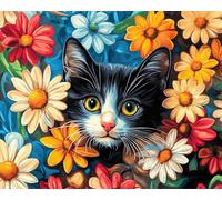 Wallphantom margaritas de colores Pintura por Números Kit para Adultos Principiantes,Gato animal,Kit de Pintura al óleo de Lienzo,Decoración del Hogar,Navidad,regalo,40x50cm con marco