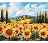 Wallphantom Pintar por Numeros Adultos,campo de girasoles,Cuadros para Pintar por Numeros,DIY Pintura por Números,Kit de Pintura al óleo de Lienzo,40x50cm con marco