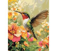 Wallphantom Pintar por Numeros Adultos,Colibríes y flores,DIY Kit Completo de Pinturas con Pinceles y Pinturas,decoración del arte de la pared del hogar,40x50cm con marco