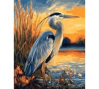 Wallphantom Pintar por Numeros Adultos,Garzas azules junto al río,Cuadros para Pintar por Numeros,DIY Pintura por Números,Kit de Pintura al óleo de Lienzo,40x50cm con marco