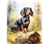 Wallphantom Pintar por Numeros Adultos,Perro salchicha animal,Cuadros para Pintar por Numeros,DIY Pintura por Números,Kit de Pintura al óleo de Lienzo,40x50cm sin borde