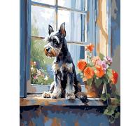 Wallphantom Pintar por Numeros Adultos,Perro schnauzer tumbado junto a la ventana,DIY Kit Completo de Pinturas con Pinceles y Pinturas,decoración del arte de la pared del hogar,40x50cm sin borde