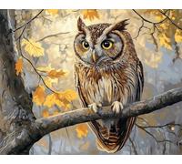 Wallphantom Pintar por Numeros,Búho en una rama,DIY cuadros para pintar por numeros Kit Pintar por Numeros Adultos de Lienzo decoración para el hogar,40x50cm con marco