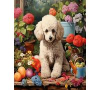 Wallphantom Pintar por números para adultos,Perro caniche en el jardín,Pintura por Números y regalo para amigo,Navidad,cumpleaños,hogar decoración de casa,40x50cm sin borde