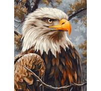 Wallphantom Pintura por Números Kit para Adultos Principiantes,Águila calva,Kit de Pintura al óleo de Lienzo,Decoración del Hogar,Navidad,regalo,40x50cm con marco