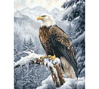 Wallphantom Pintura por Números Kit para Adultos Principiantes,Escena de bosque nevado con águila calva,Kit de Pintura al óleo de Lienzo,Decoración del Hogar,Navidad,regalo,40x50cm con marco