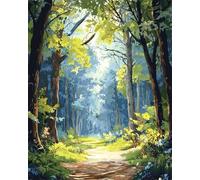 Wallphantom Pintura por Números Kit para Adultos Principiantes,Paisaje Bosque Sol,Kit de Pintura al óleo de Lienzo,Decoración del Hogar,Navidad,regalo,40x50cm con marco